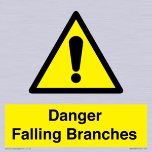 Danger Falling Branches